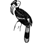 Bird Feeder Line Drawing Public Domain Vectors