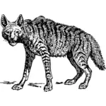 鬣狗图像