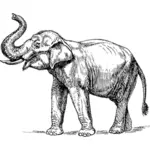 Intian elefantti