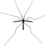 Insect silhouette image