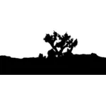 Joshua's tree landscape silhouette
