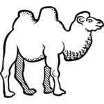 Zeichnung von Kamel mit fleckigen Hals Linie Kunst