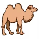 Cartoon vector afbeelding van een kameel