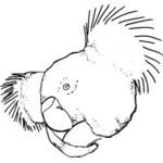Desenho do coala traçado vetorial
