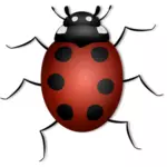Ladybug vector illustrasjon
