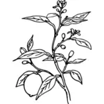 Ilustración de vector de árbol de limón
