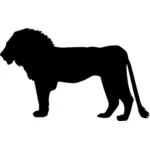 Silhouette of lion