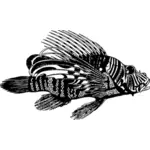 Leeuw vis in zwart-wit