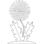 Vektorgrafik Löwenzahn Blume für Farbe-Buch