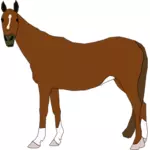 Vektorikuva ruskeasta hevosesta seisomassa