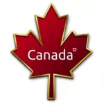 Maple leaf with golden trim vector