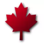 Maple leaf vector graphics