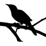 Gambar vektor Silhouette mockingbird