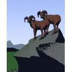 Imagem de cabras da montanha