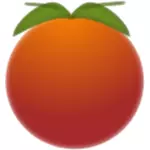 Vector graphics of orange with blurry effects
