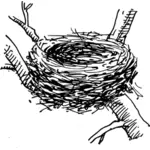 Vogel nest