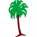 Palmiye ağacı görüntü