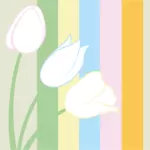 Pastell Tulpen