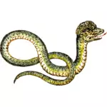 특이 한 뱀