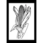 Ilustraţia vectorială de porumb copt