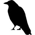 Crow stående vektor image