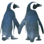 Vector de la imagen de los pingüinos