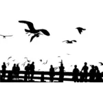 People and seagulls silhouette
