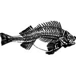 Fish Skeleton Vector Clip Art 