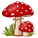 Colored toadstool