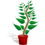 Zelené rostliny hrnec vektorové ilustrace