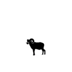 Silhouette of a ram