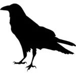 Raven silueta