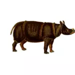 Imagine de vector rinocer