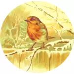 Robin obrázek