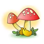 Mushroom vector graphics