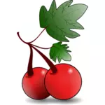 Fructe rosii grafică vectorială