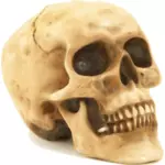 Scary Halloween czaszki wektor clipart