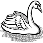 Лебедь с часть пятнистых перьев в воде векторное изображение