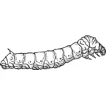Ilustración de gusano de seda