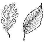 Eenvoudig bladeren vector illustraties