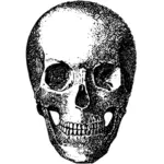 Retro skull