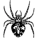 Hämähäkin piirustuskuva
