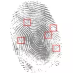 Forensic detection