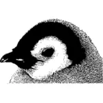 Emperor penguin chick head vector drawing