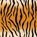 Modello di strisce della tigre