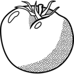 Tomato plant | Public domain vectors