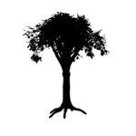 Träd med rötter silhuett vektorbild