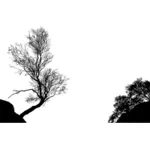 Dilhouette de árvores