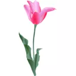 Image vectorielle d'une tulipe
