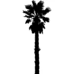 Palm tree silhouette vector image